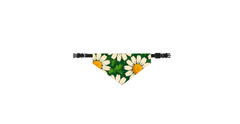 Clip-on Pet Bandana - My Posh Prints