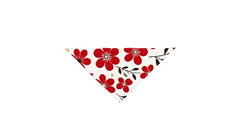 Pet Bandana - My Posh Prints